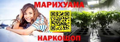 тгк Бердск