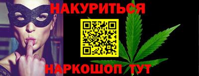тгк Бердск